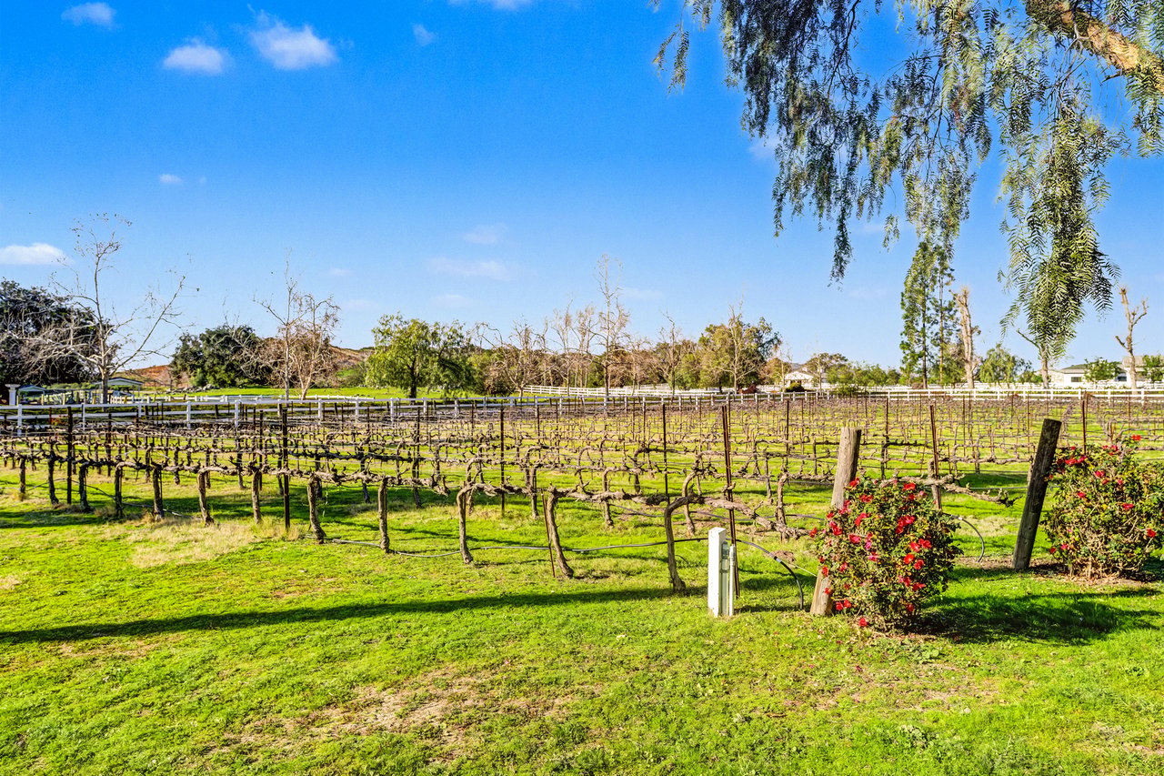 40801 Avenida La Cresta