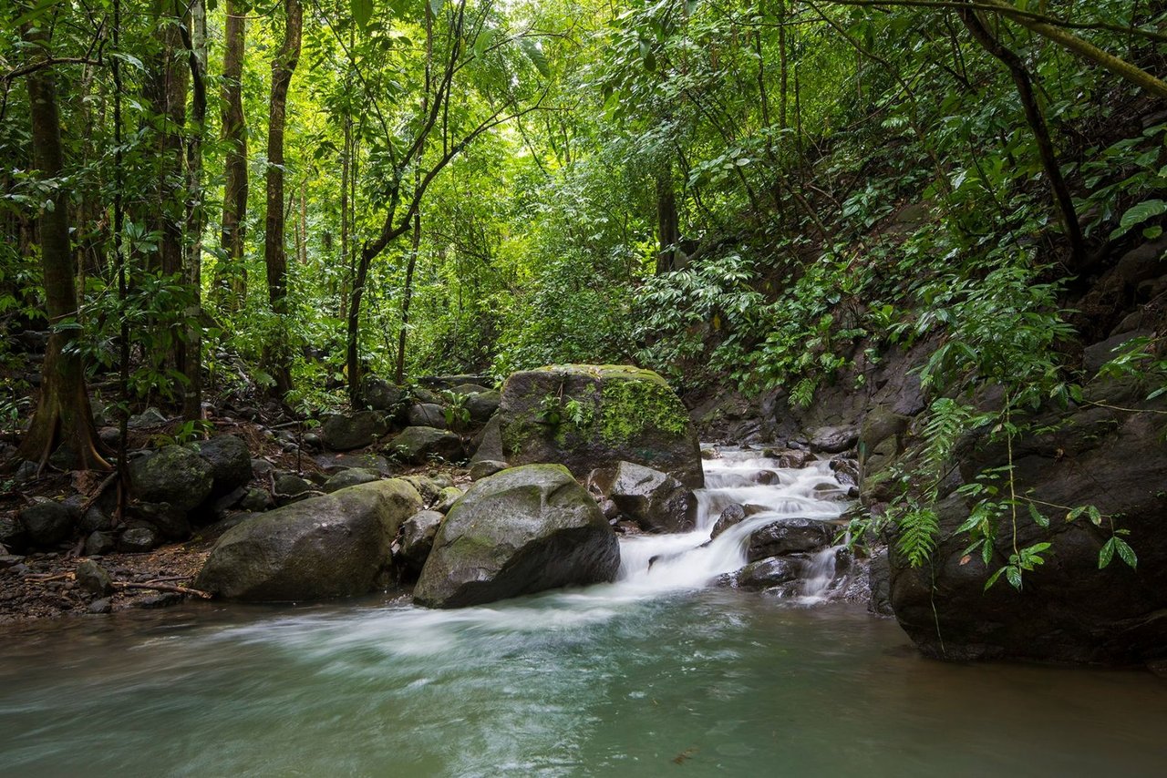 Beachfront Development Land, Dominical, Puntarenas