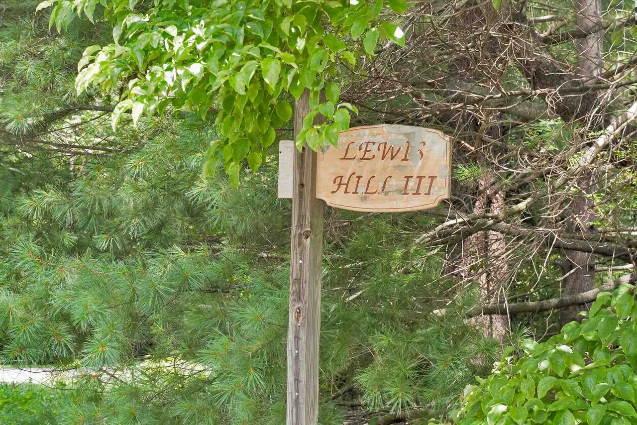Lewis Hills
