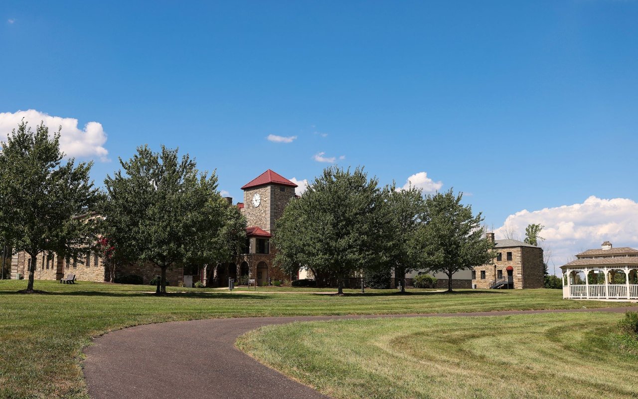 Mount Joy