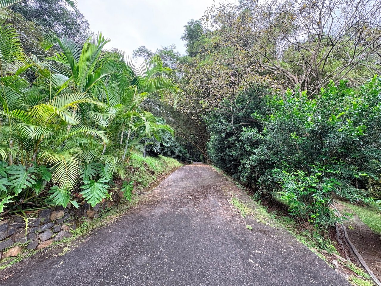 Private Garden Estate Pool, Alajuela