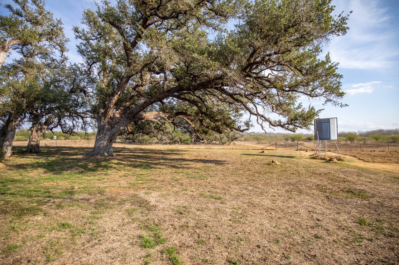 1019 Tulley Road | 45.86± Acres | Cuero, DeWitt County, TX