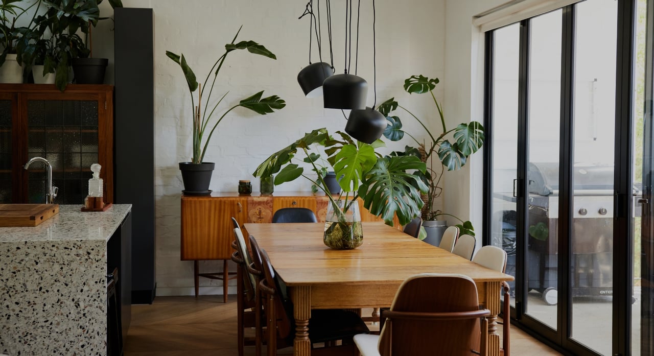 WINTER HOUSEPLANT CARE 101