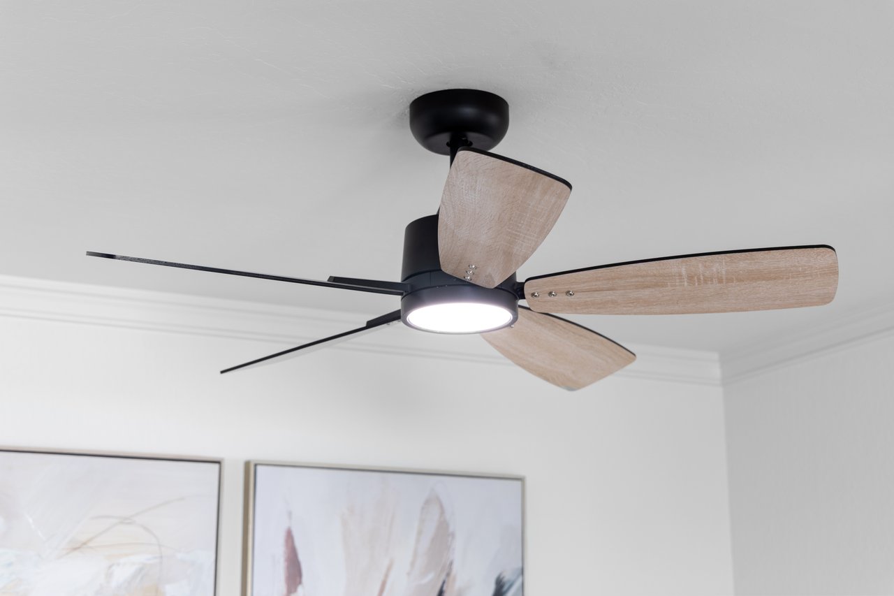 735 Winstead Terrace