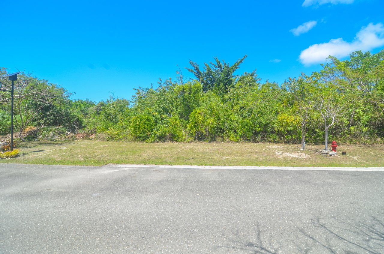 Lot #1 Lyford Hills