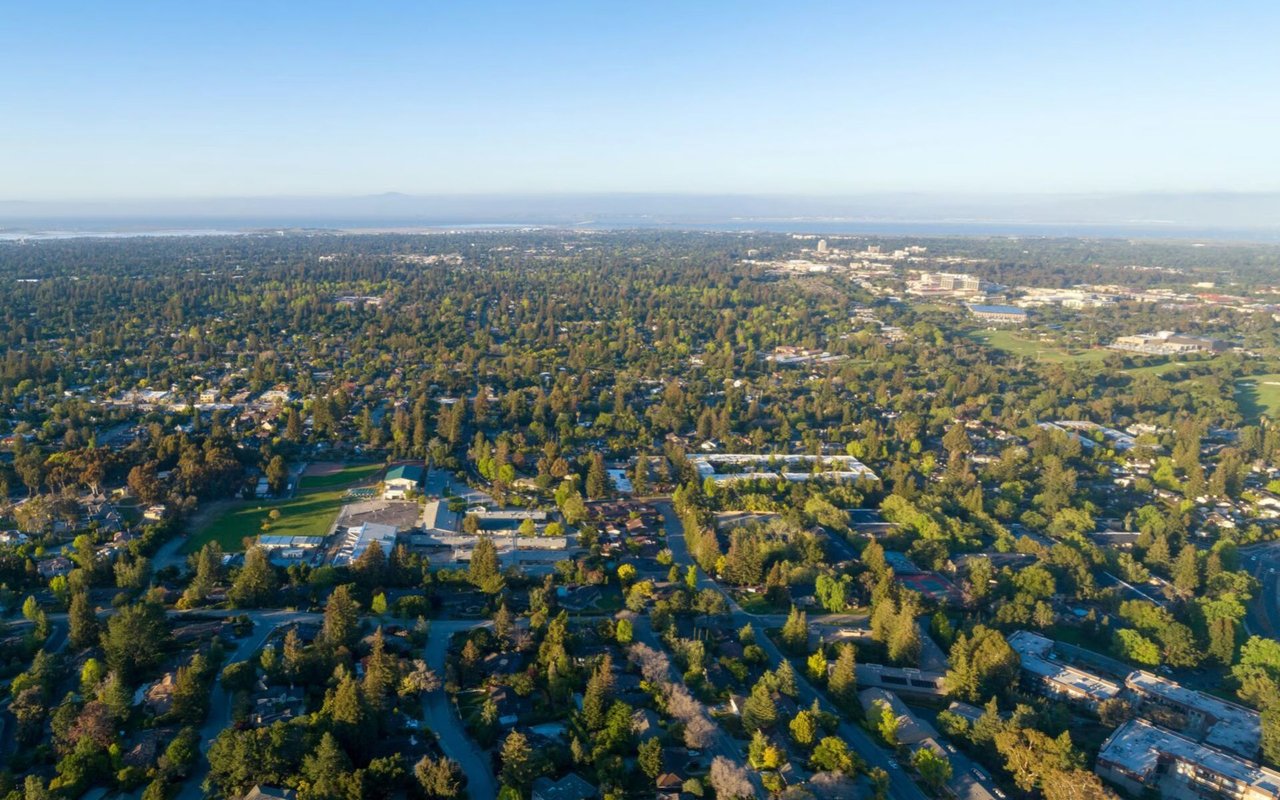 Arlington Forest