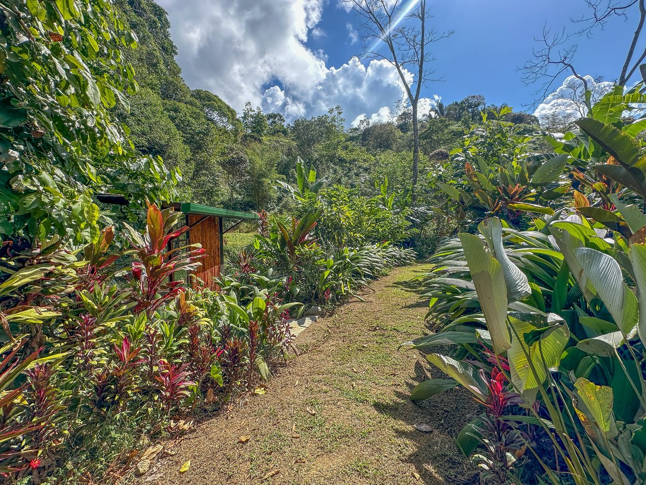 Tinamastes Costa Rica Property with Home, Yoga Deck & Land