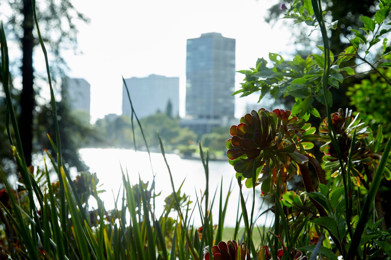 Lakeside