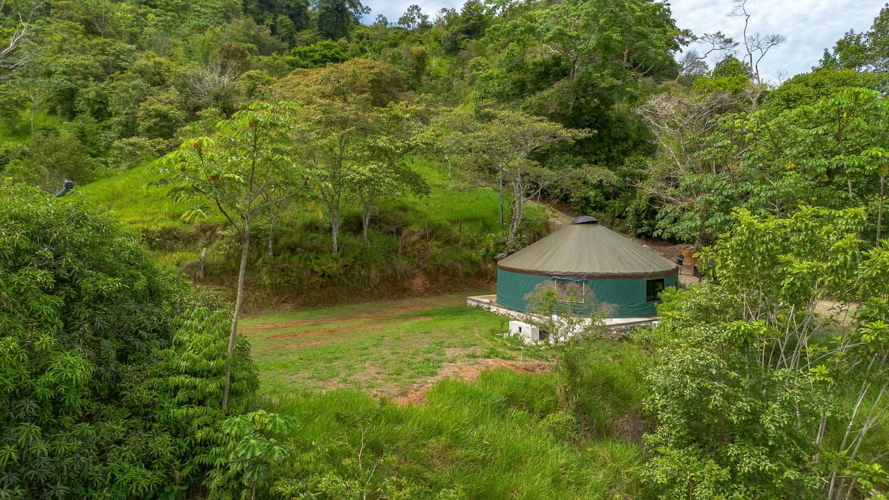60 Hectares in Platanillo 