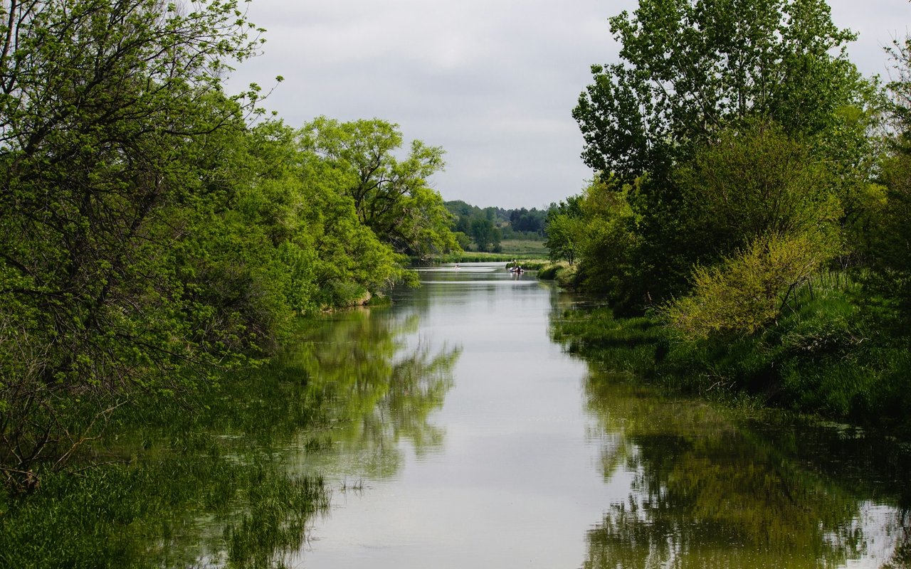 Weston