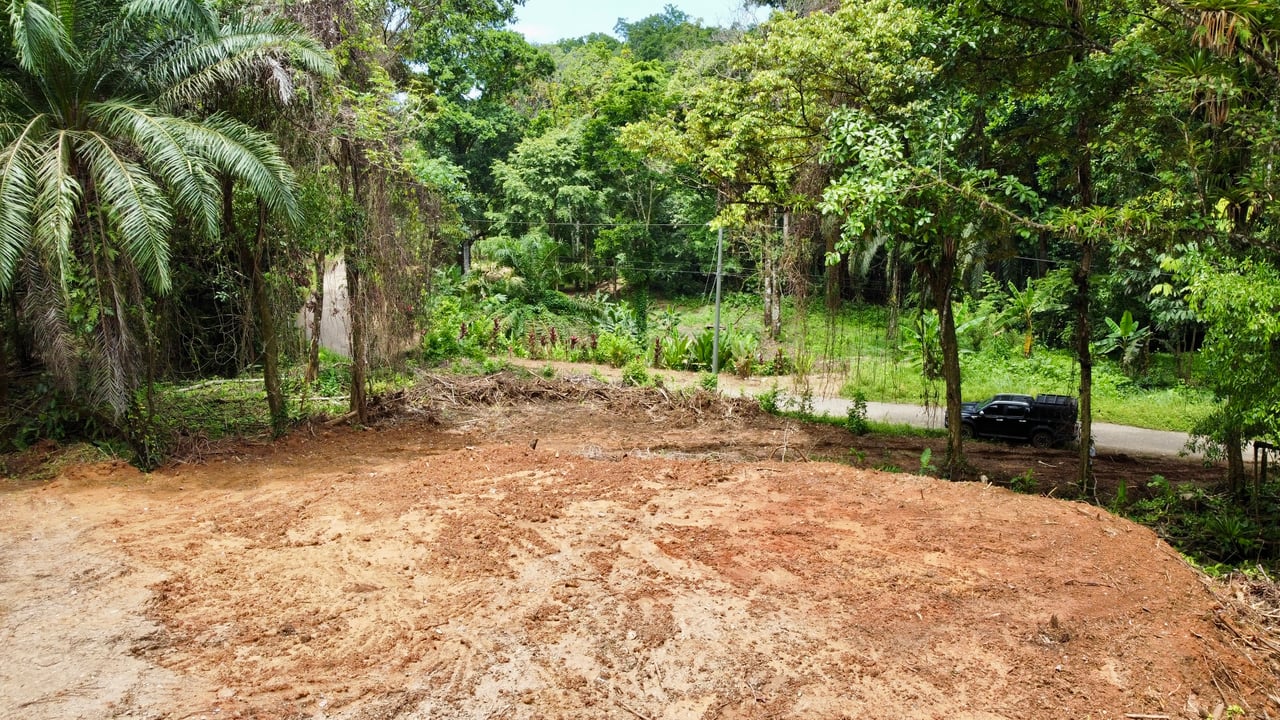 Ready-to-Build Land in San Antonio de Damas: 2,6-Acre with Terraces & Road Frontage
