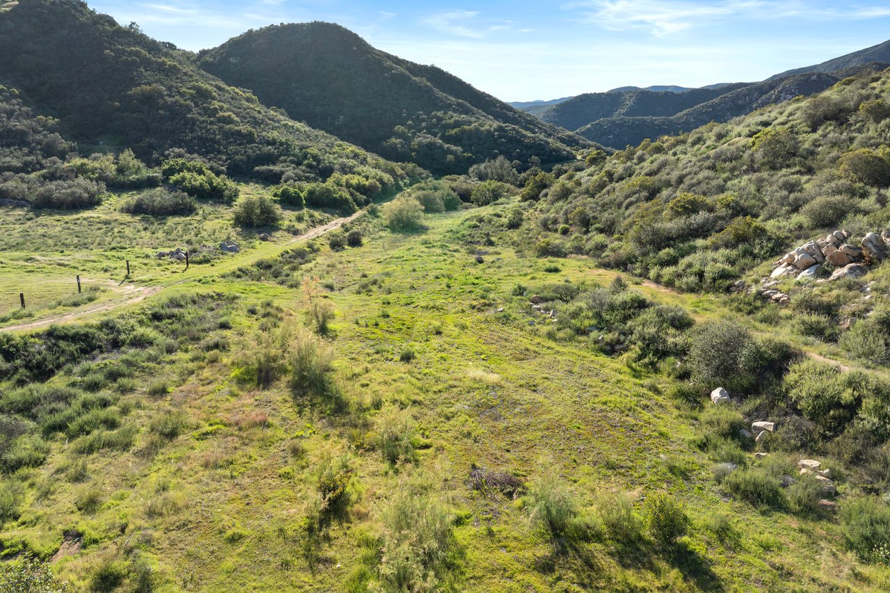 38355 Vista Del Bosque