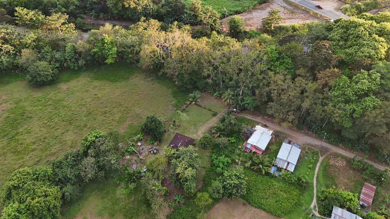 Over 5 Acres Farm in San Buenas