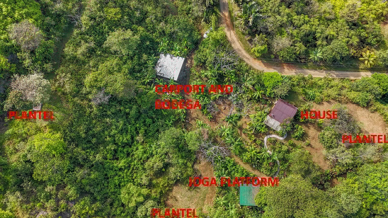 Tinamastes Costa Rica Property with Home, Yoga Deck & Land