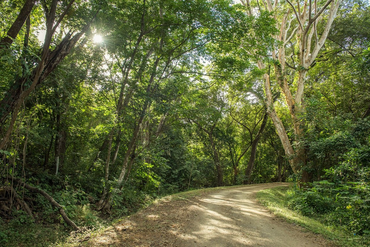 Bougainvillea 8101, Reserva Conchal