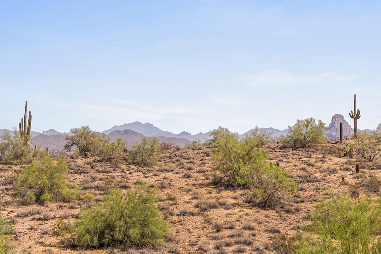 10827 N SONORA Vista