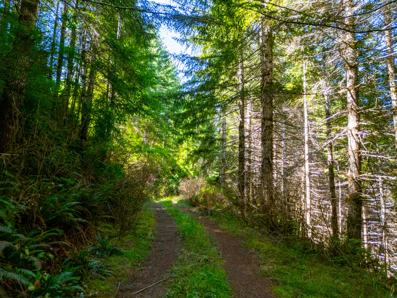 LINCOLN-HILLTOP TREEFARM Sealed Bid Offering 