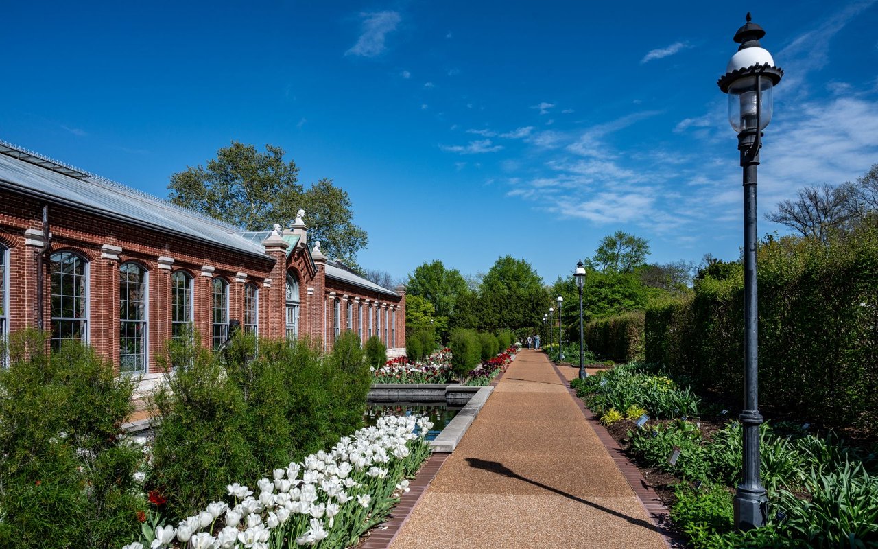 Blue Springs