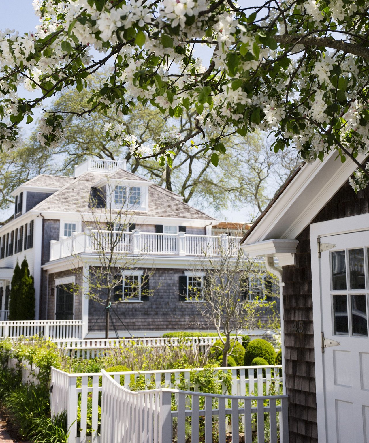 Home Search