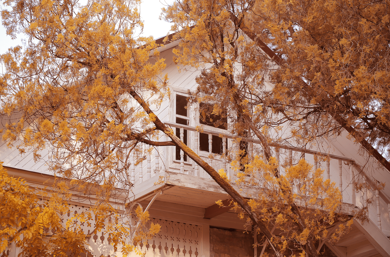 White traditional-style home framed by golden autumn foliage and mature trees, showcasing charming architectural details and a seasonal residential exterior.