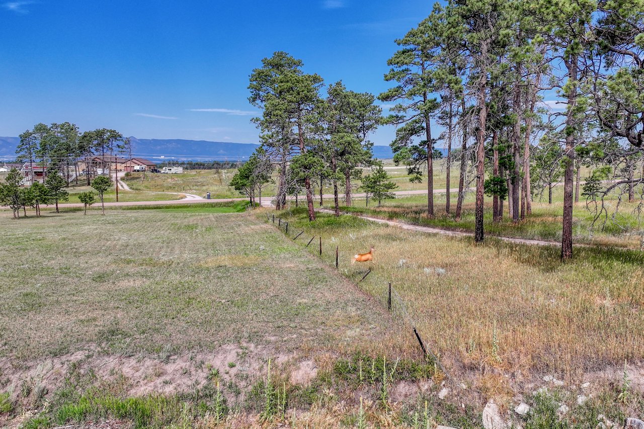 LOT 4 Forest Heights Circle