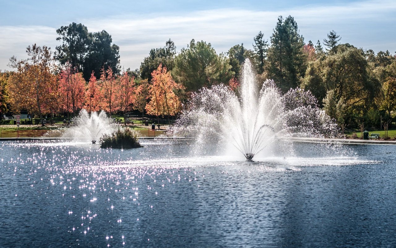 Walnut Creek