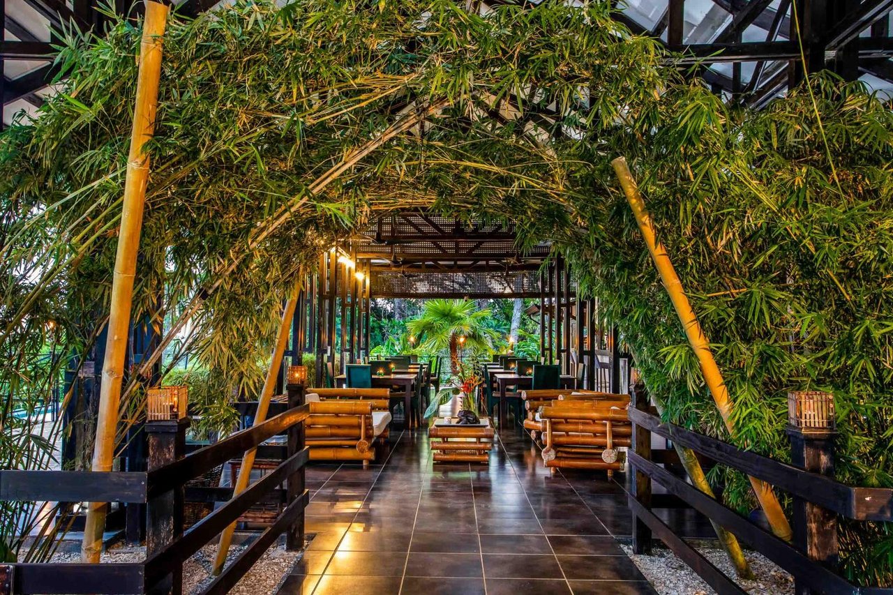 Profitable Boutique Hotel With Room for Expansion Tiki Villas Rainforest Lodge and Spa