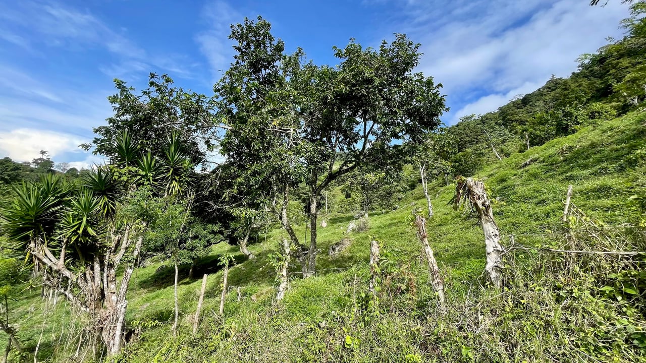 Stunning Ocean View Farm in San Luis de Morete, Over 23 Acres