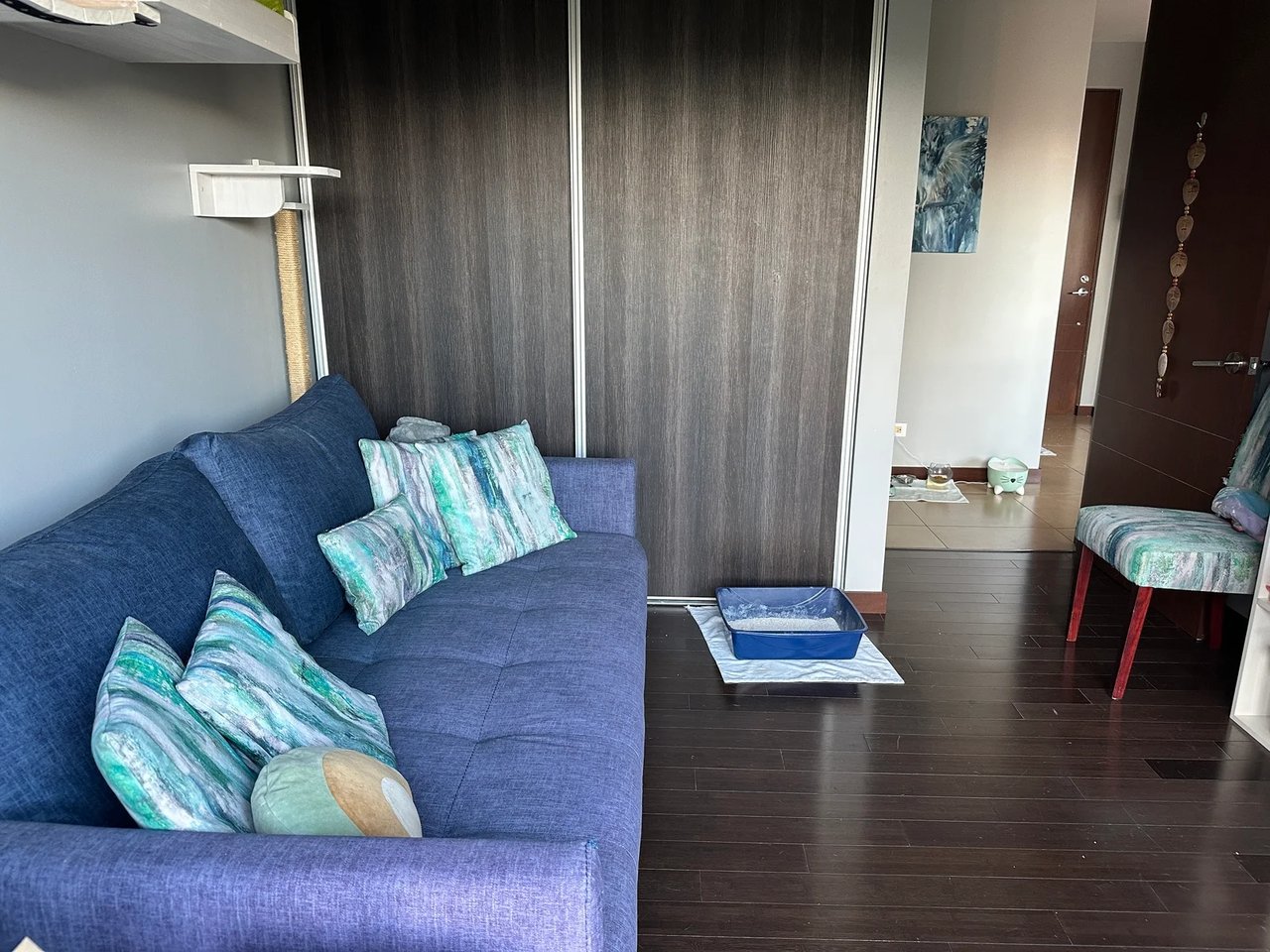 Forest View Penthouse Condo, Escazu, San Jose