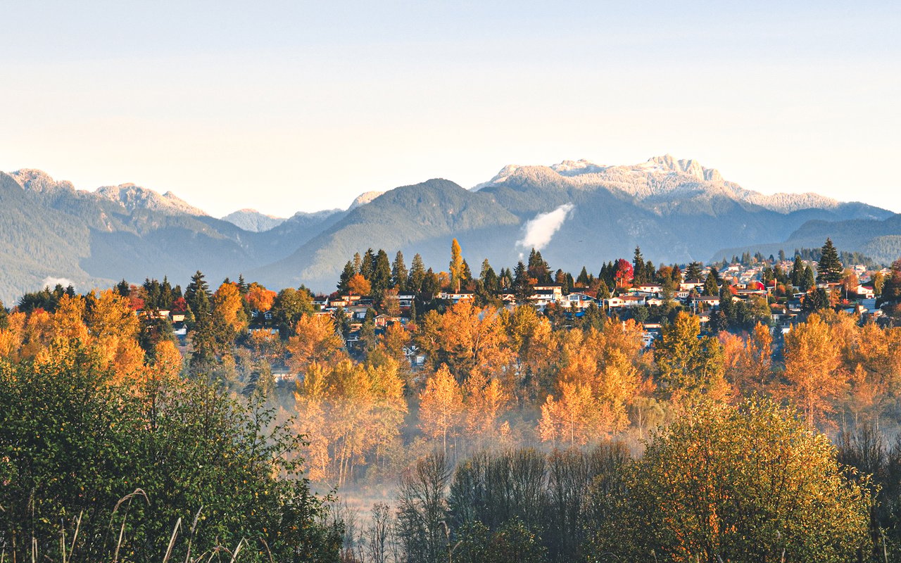 Macdonald Realty Burnaby 