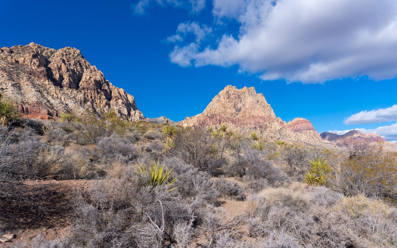 Lone Mountain West