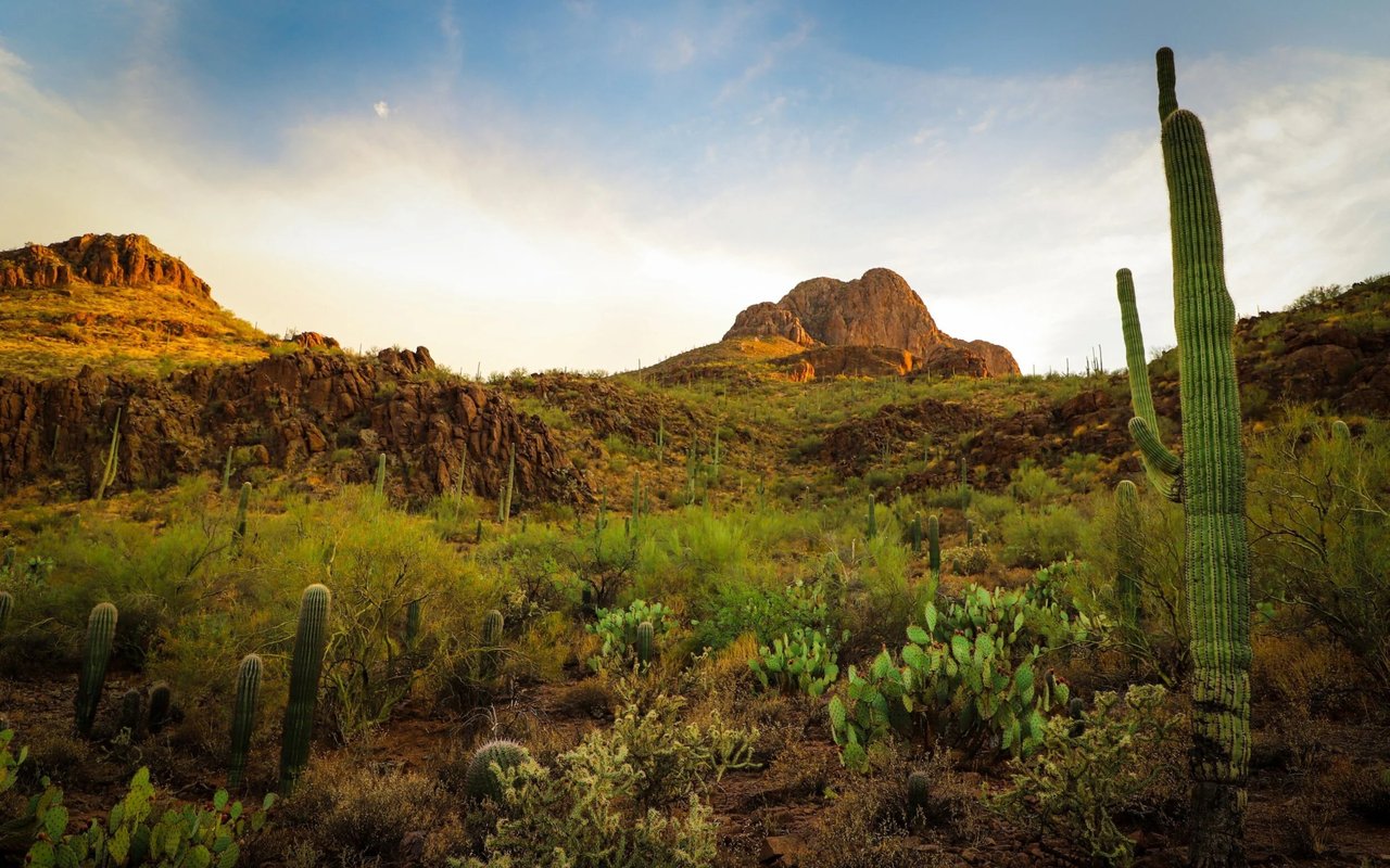 Tucson vs. San Diego: Why Move to Arizona?