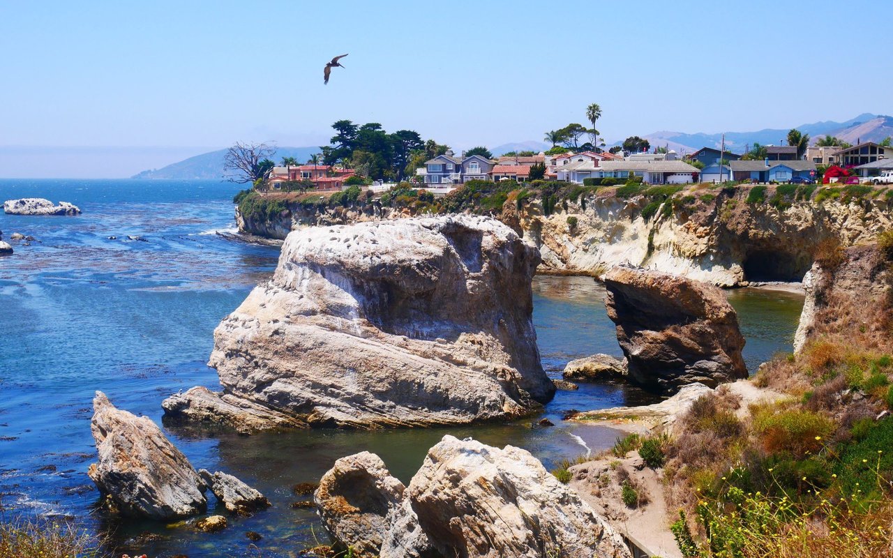 Shell Beach