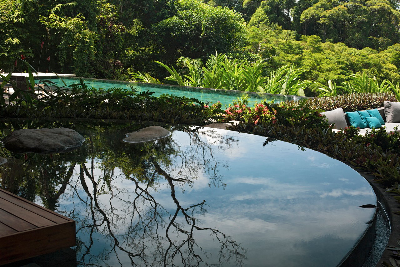 Casa Sanctuary ·  Luxury Jungle Villa · Whale Tail View