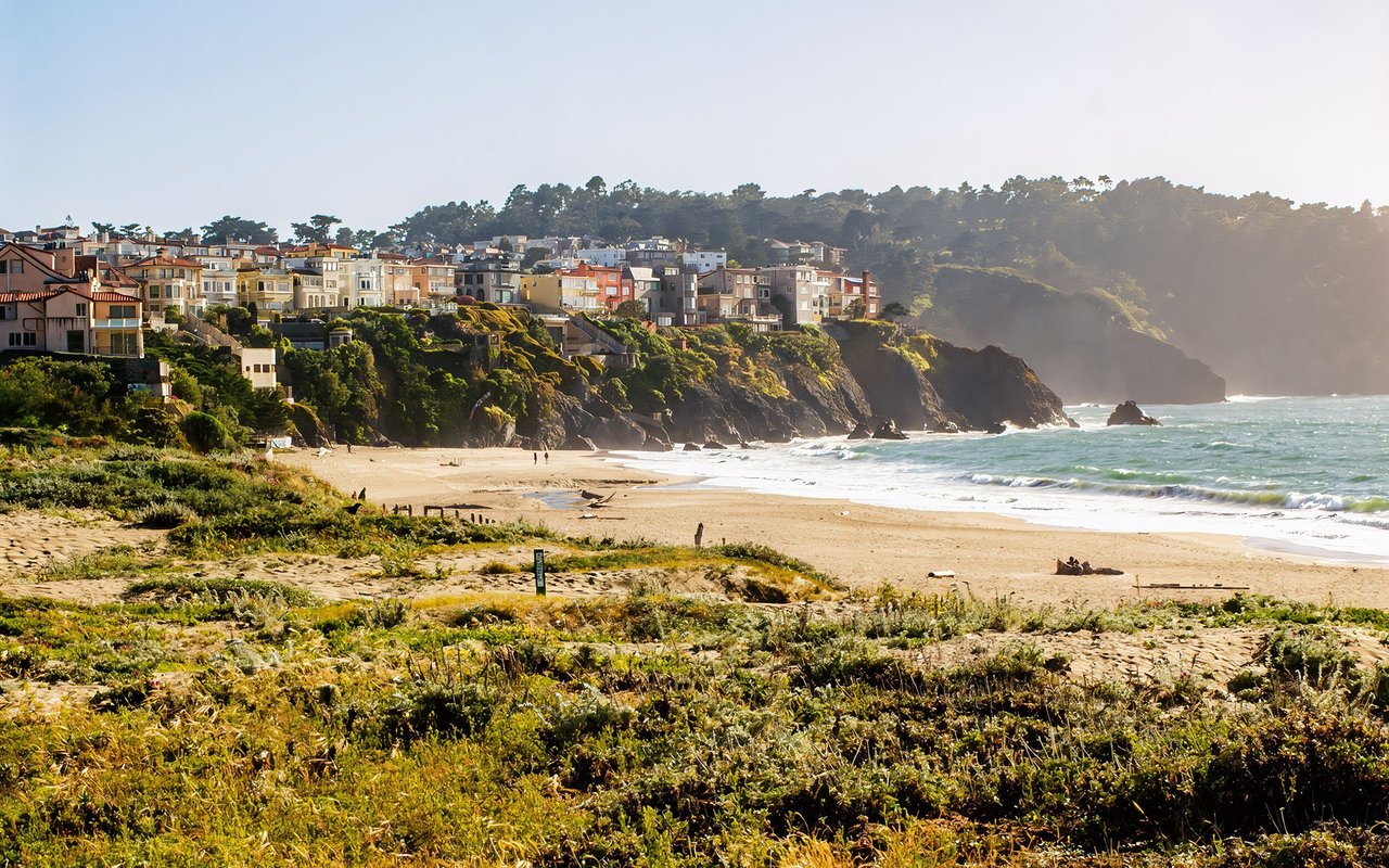 Sea Cliff