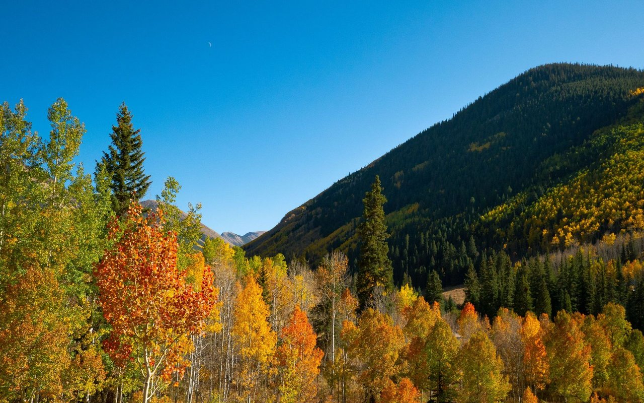 Castle Creek Valley