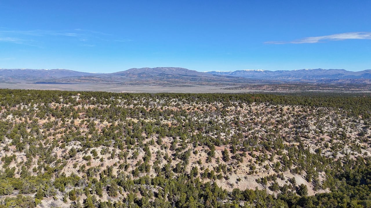1 W Elk Meadows