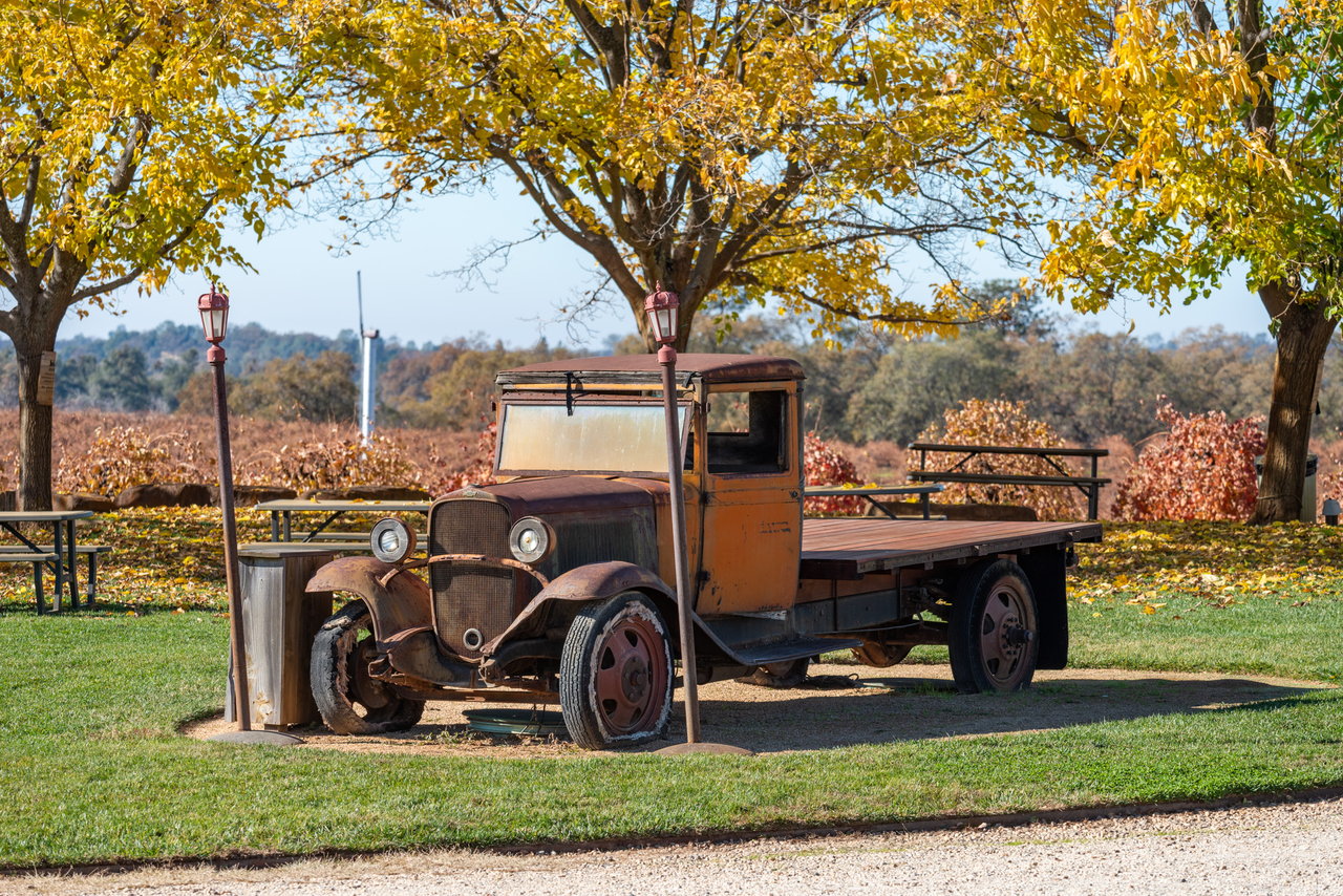 Cooper Vineyards - Barbera's Legacy Continues In the Heart of Shenandoah Valley