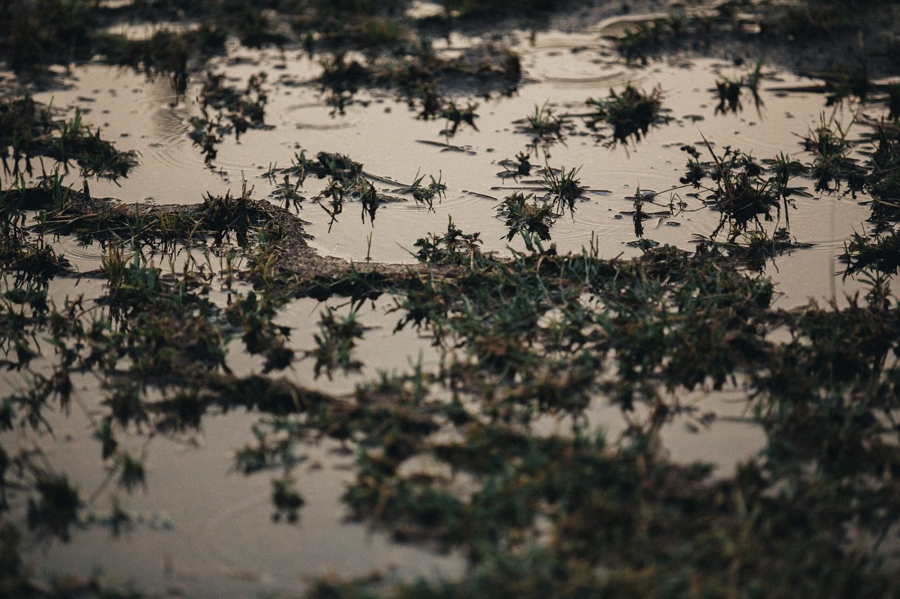  Punta Sabana & Mar Serena