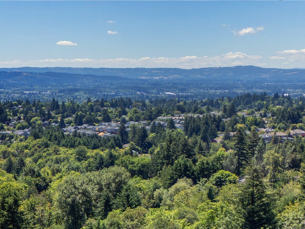 Forest Heights