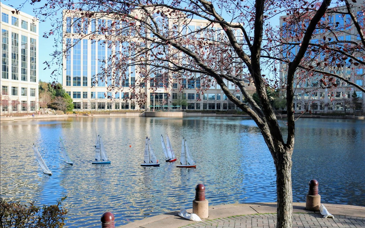 Edina