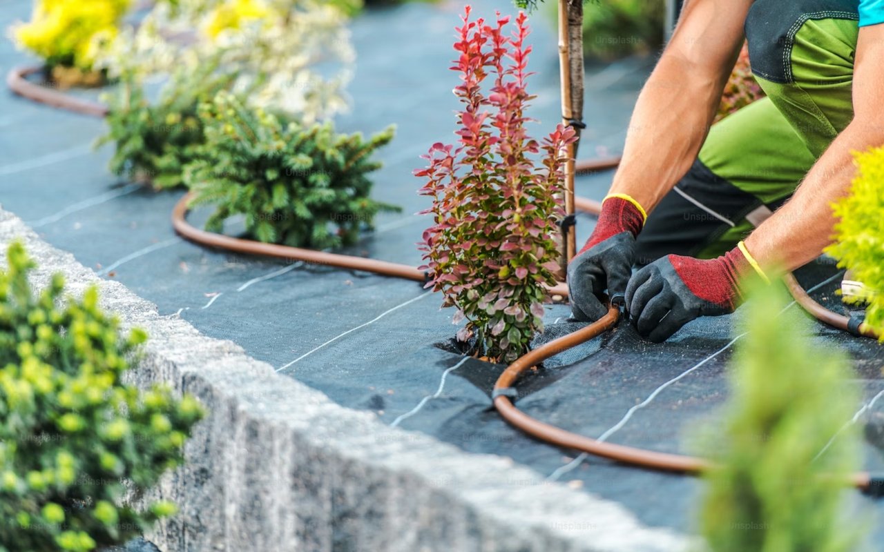 How to Renovate Your Backyard to Increase Home Value in Mashpee