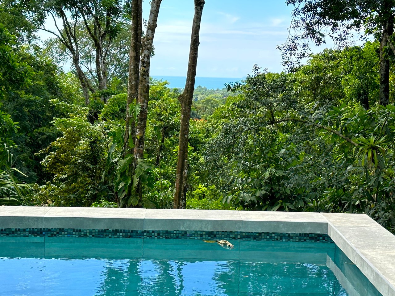 FIRE SALE! Jungle, Rivers, a Waterfall and Panoramic Ocean View