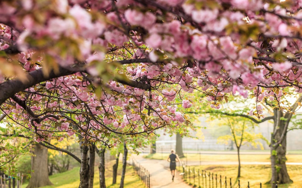Expectations rising for housing market’s spring season
