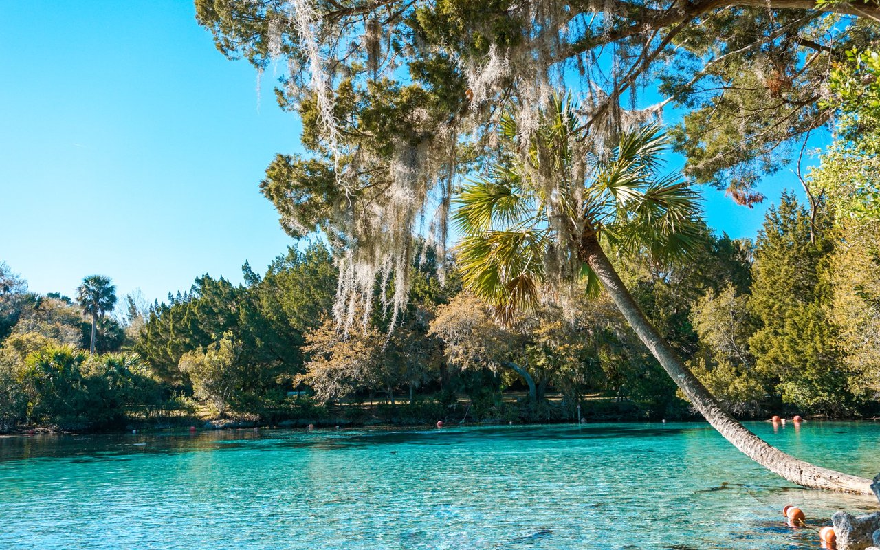 Silver Springs Shores