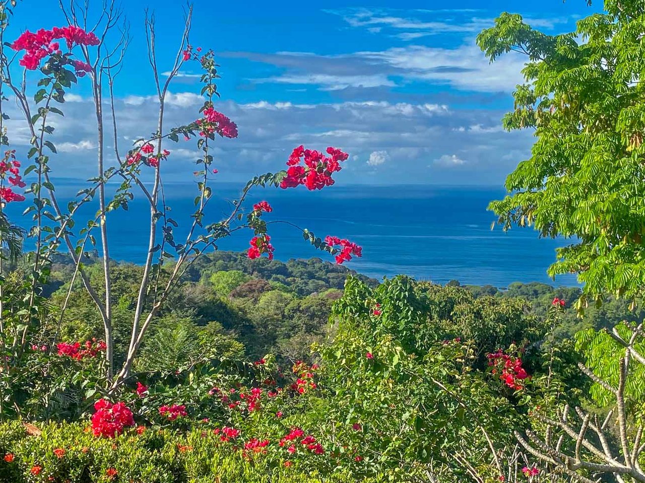 Ocean, Jungle & Mountain View Home in Ojochal | Protected Jungle Setting