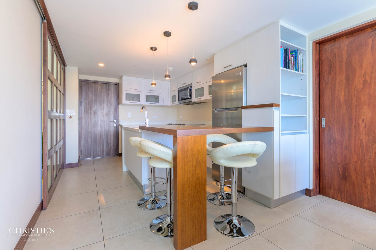 Modern 2-Bedroom Condo with Mountain Views in Barrio Escalante