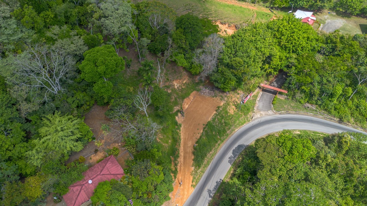 Lote con Potencial Comercial – La Palma, Pérez Zeledón