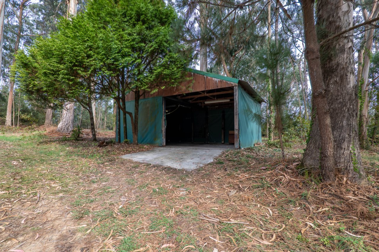 Equestrian Estate in Lavra with 13,000 m² just 800 Meters from the Beach