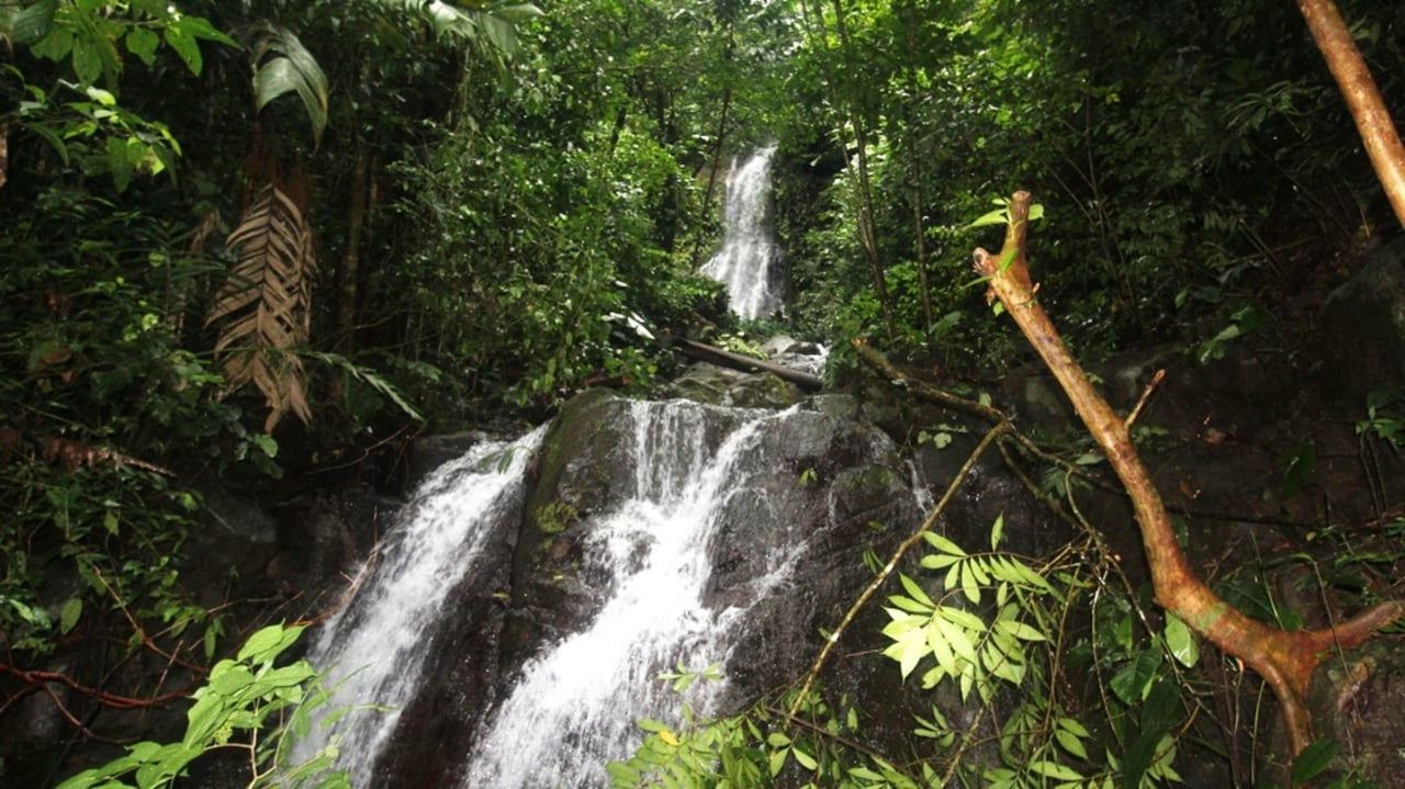 Waterfall Riverfront View Land, Uvita, Puntarenas
